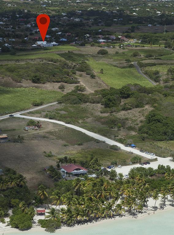 La Canne A Sucre Sainte-Anne  Rom bilde